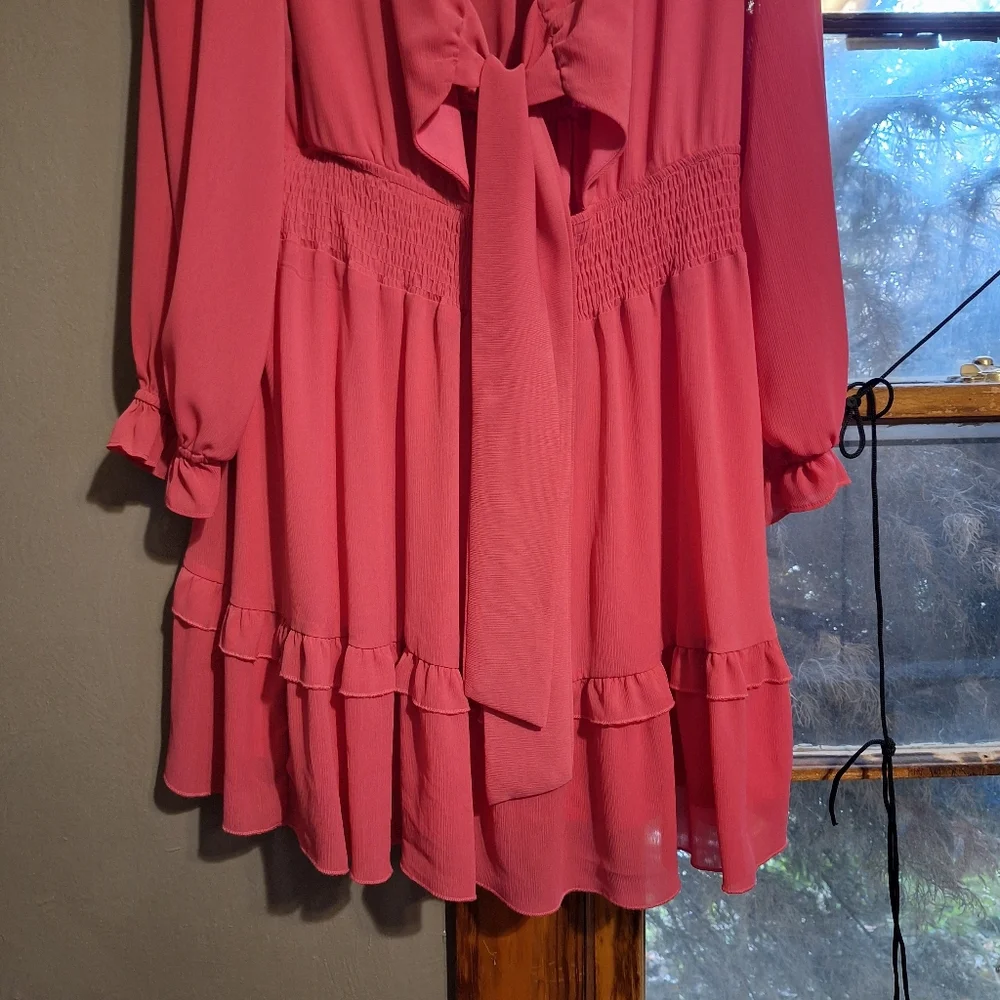 Pink Ruffle Dress - Picture 3 of 6